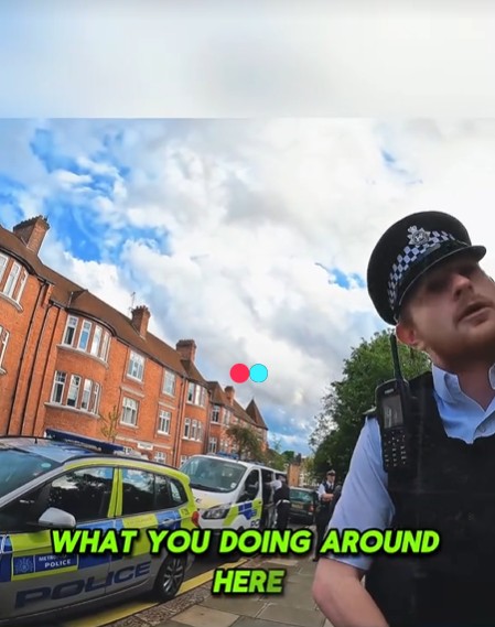 Caught in the Moment: A Neighborhood Snapshot