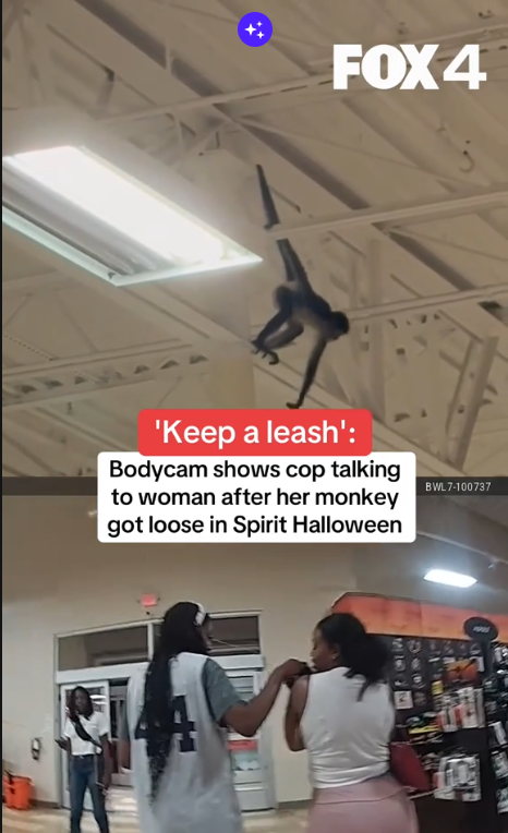 Police respond after monkey escapes inside Spirit Halloween ๐๐ฎโโ๏ธ๐ป