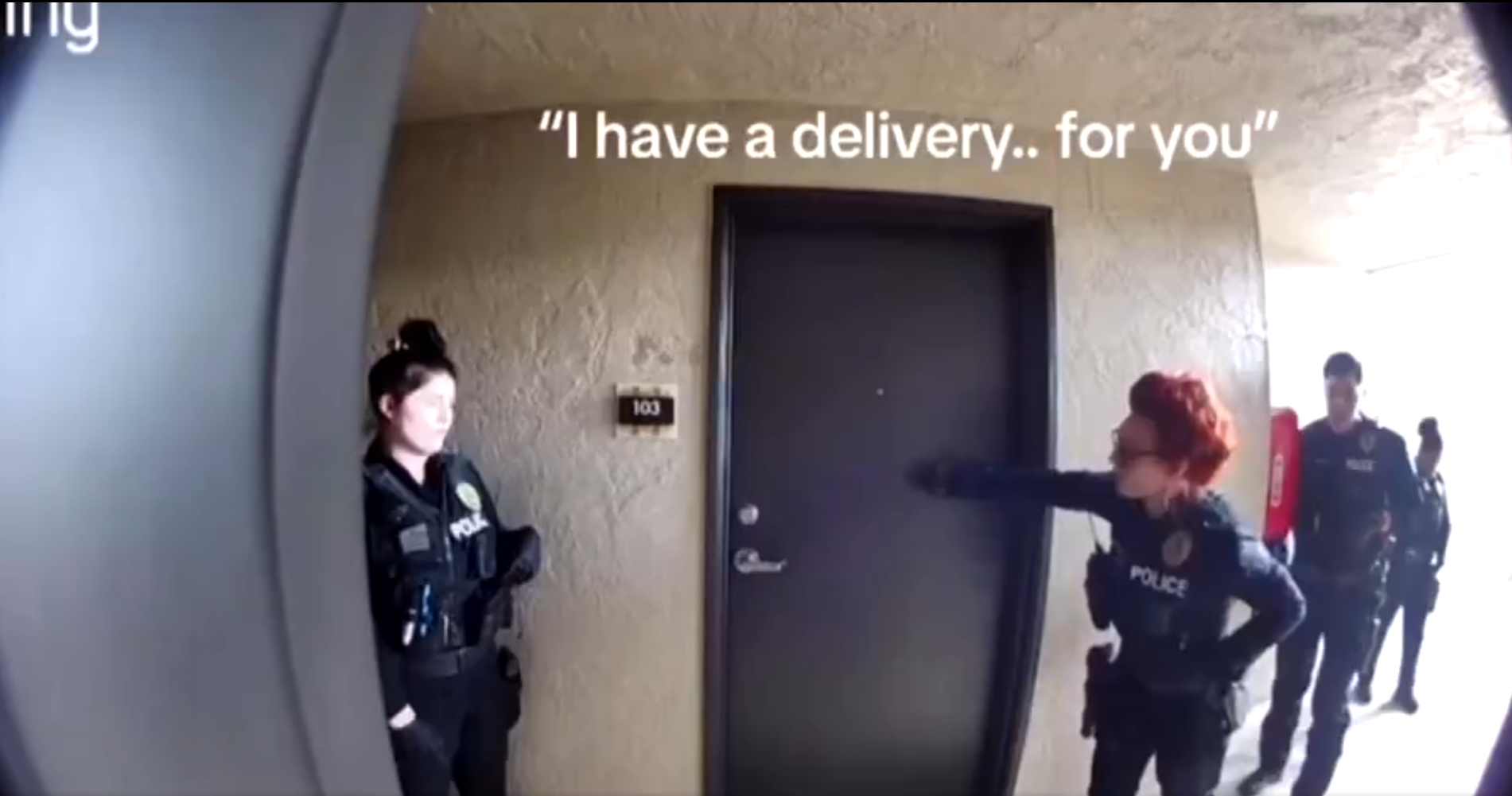 I Have a Delivery… For You” – The Knock Nobody Expected