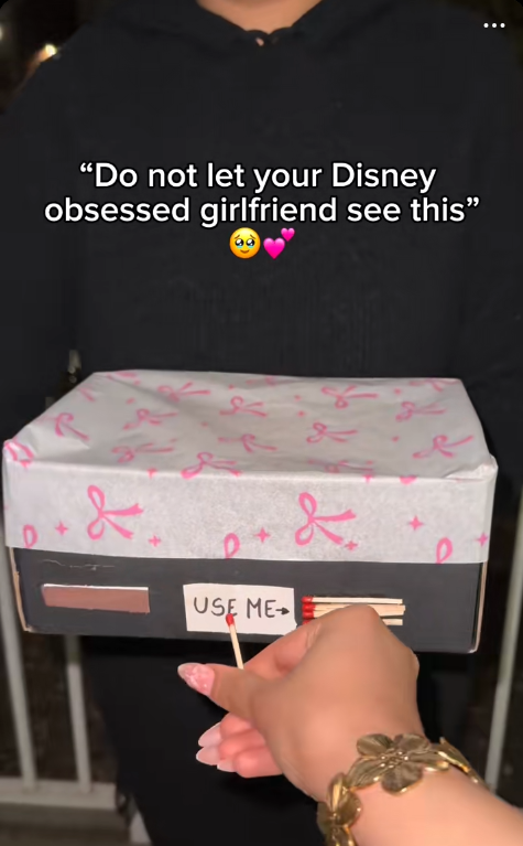 🥺💕 Warning: Do NOT show this to your Disney-obsessed girlfriend.