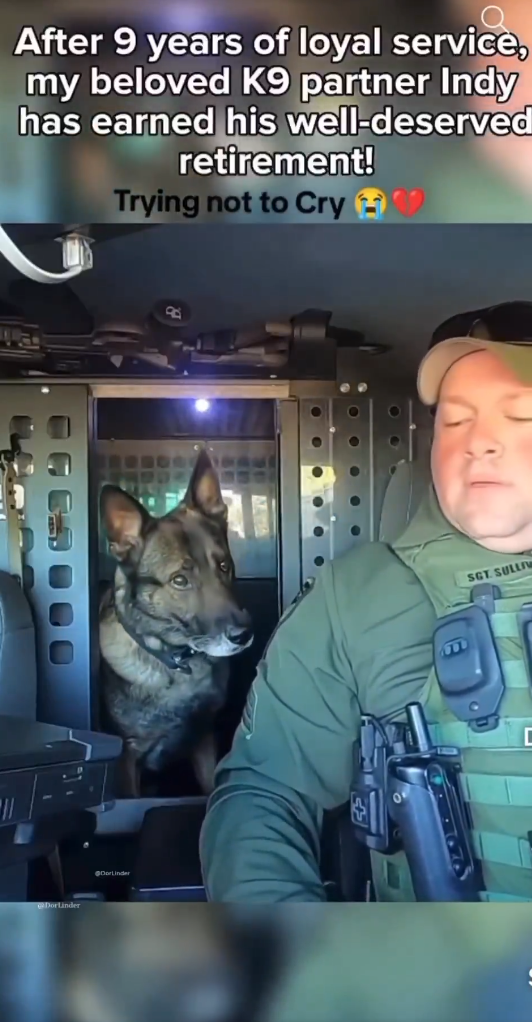 After 9 Years of Loyalty, Indy the K9 Hero Takes His Final Ride 💔🐾