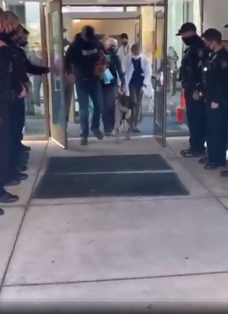 A Hero’s Final Walk ❤️🐾 Saluting One of the Bravest