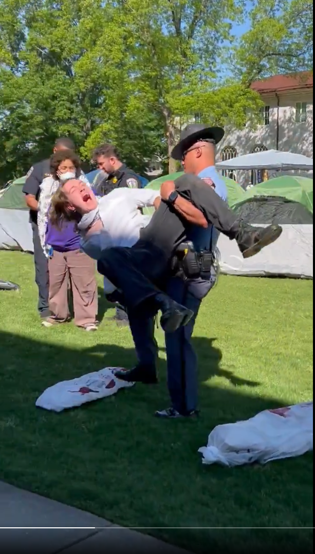 Tension on the Green: Officer Carries Protester Away as Emotions Boil Over ๐จ๐ณ