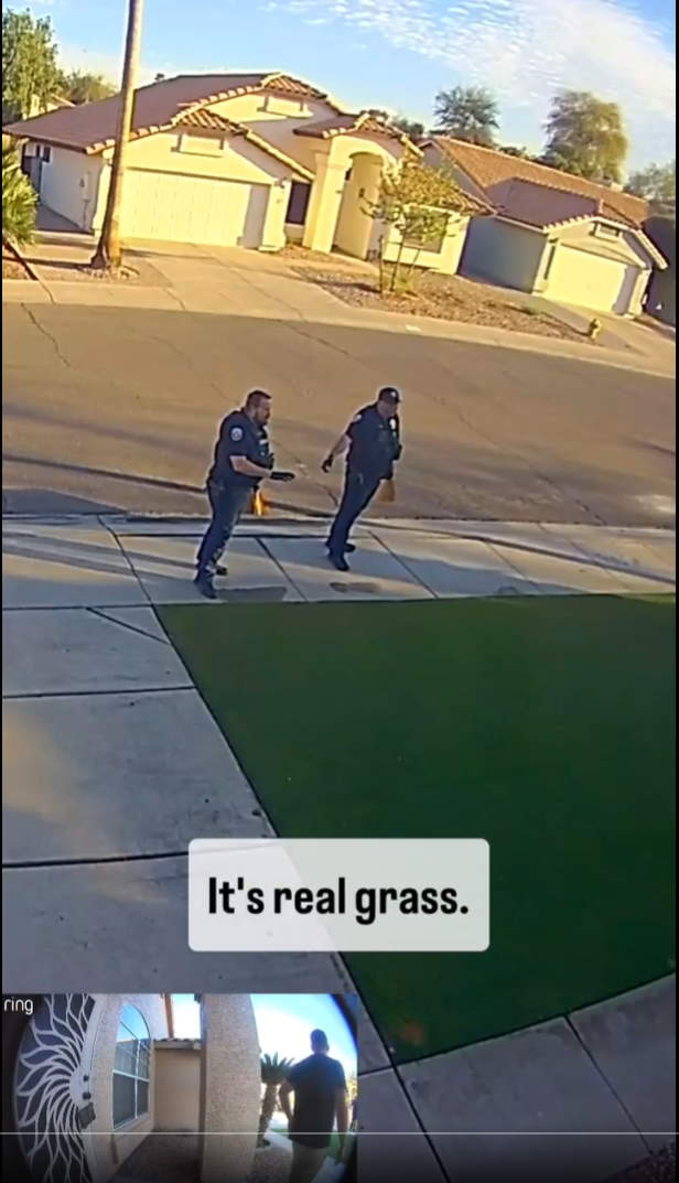 “It’s Real Grass” — But the Story Behind It Was Even More Real 🌱🚔