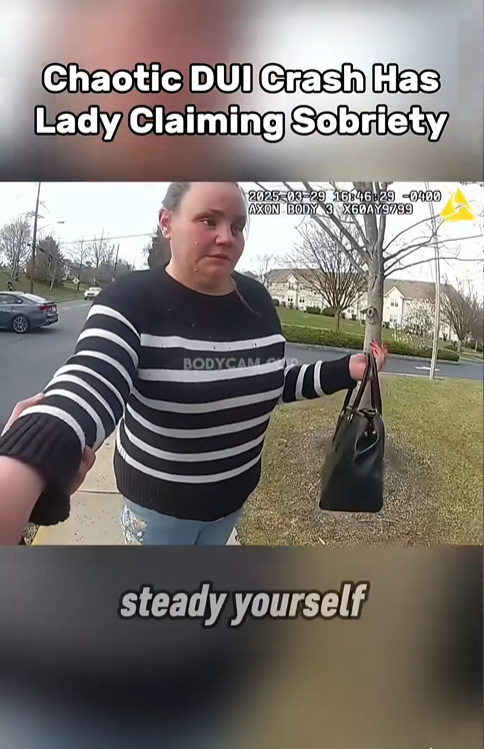 Chaos on the Curb: DUI Crash Turns Into a Shocking Claim of Sobriety