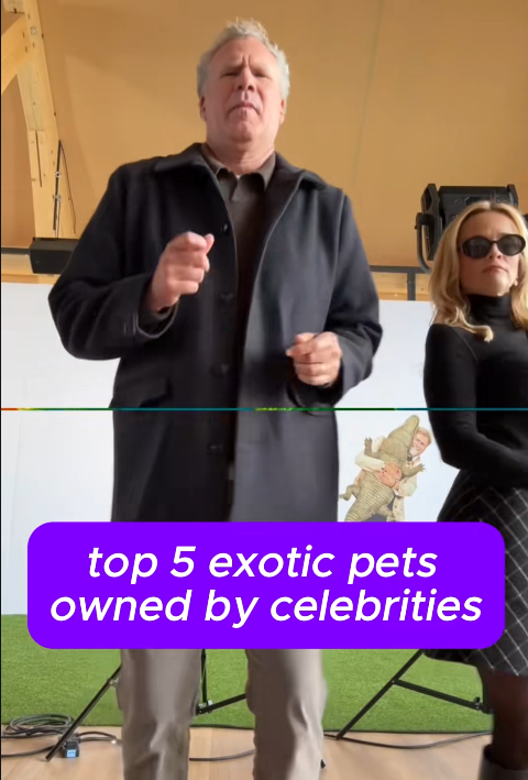 Top 5 Exotic Pets Celebrities Actually Own