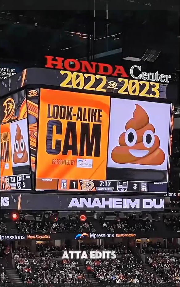 Fan Gets Spotlight in Hemsworth Look-Alike Moment at Ducks Game